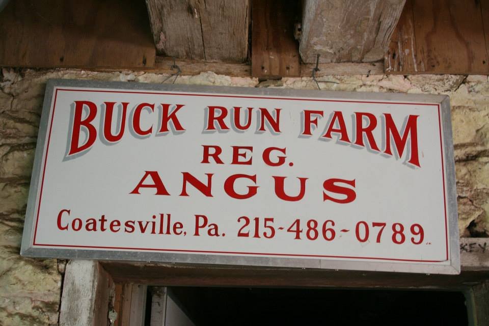 Sign for Buck Run Farm, featuring registered Angus cattle, located in Coatesville, Pennsylvania, with contact number 215-486-0789.