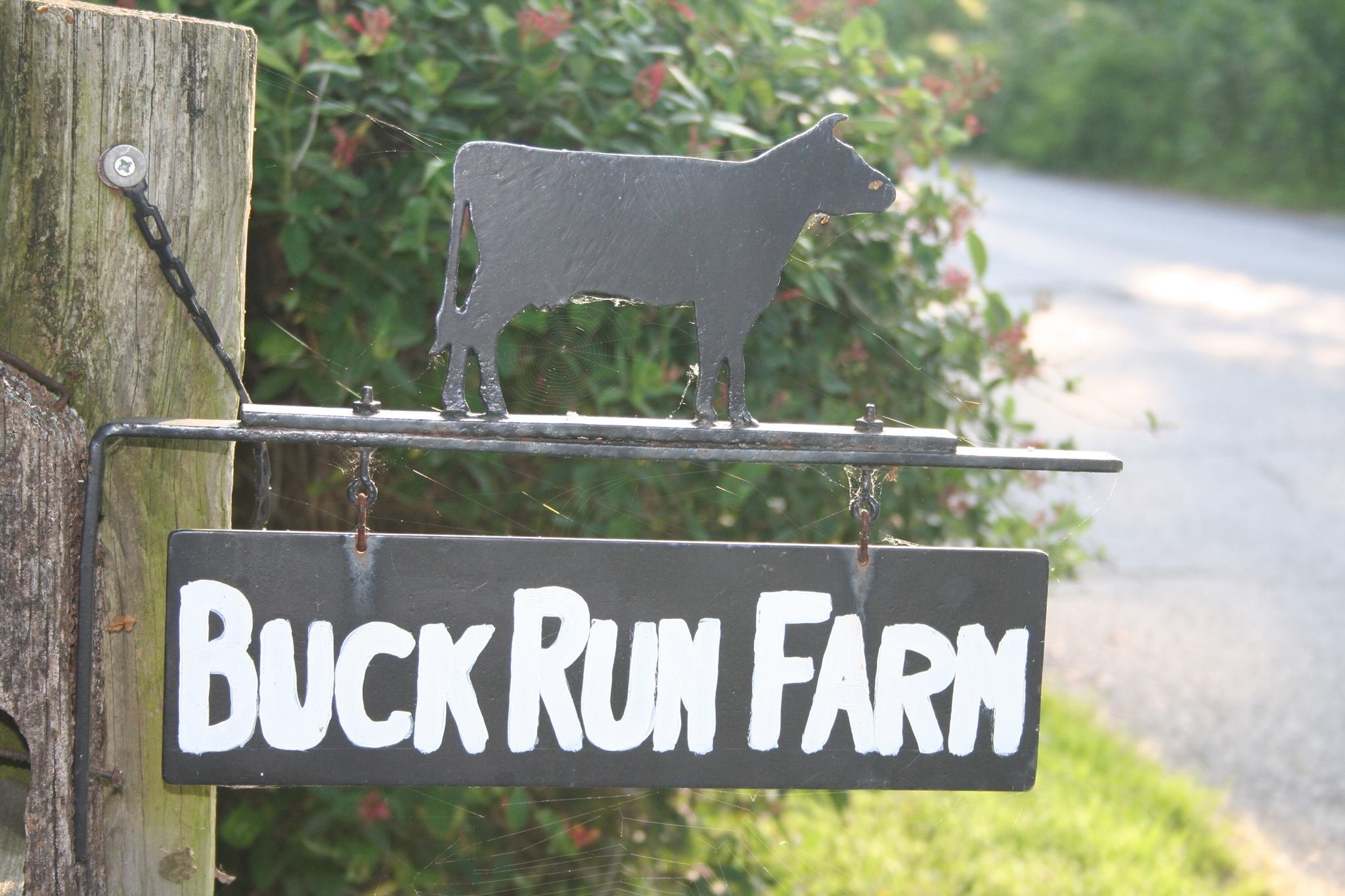 Sign for Buck Run Farm featuring a silhouette of a cow, mounted on a wooden post surrounded by greenery, indicating a rural farm location.